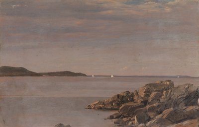 Mt. Desert Island, kust van Maine door Frederic Edwin Church